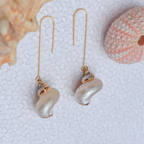 Turbo Shell Long Line Earrings