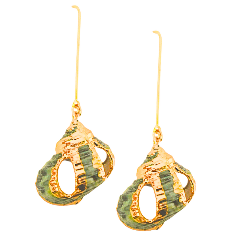 Jade Turbo Shell Earrings